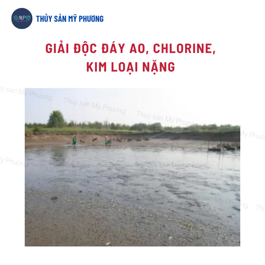 THIO-EDTA EFF - Ảnh 4