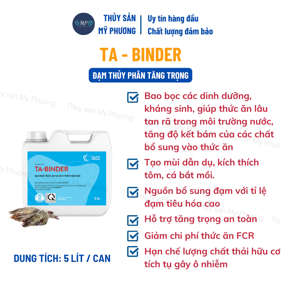 TA - BINDER